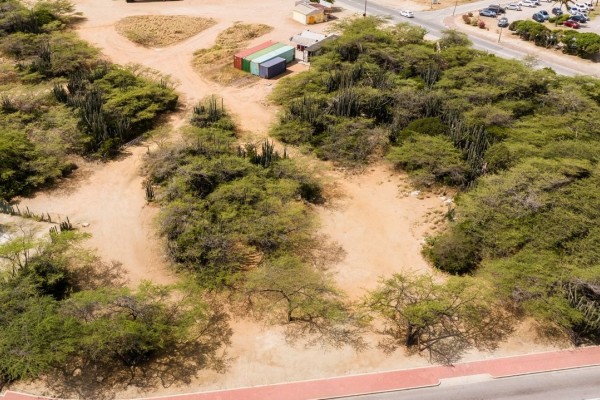 Avenida Property Land